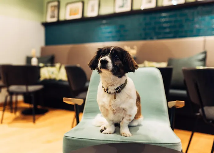 Harry's Graz-smart & 그라츠