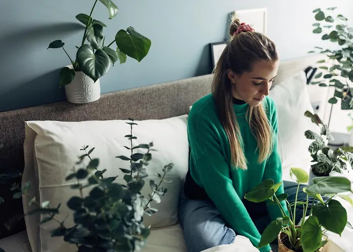 Harry's Graz-smart & 그라츠