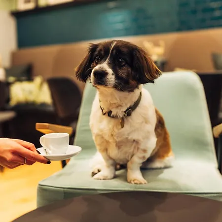 Harry's Graz-smart & *