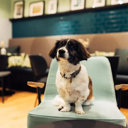 Harry's Graz-smart & Štýrský Hradec